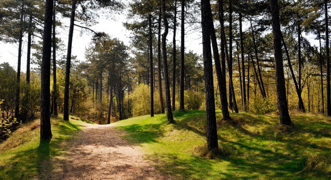 Schorsing natuurvergunningen vanwege PAS