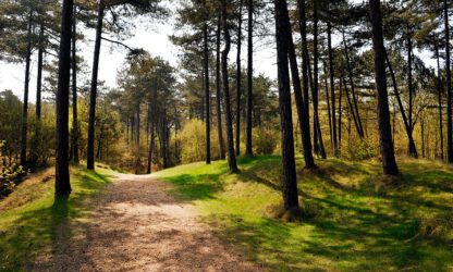 Schorsing natuurvergunningen vanwege PAS