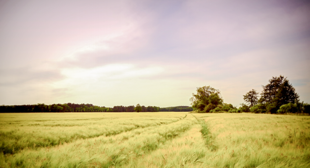 Gedoogplichtbeschikking leiding