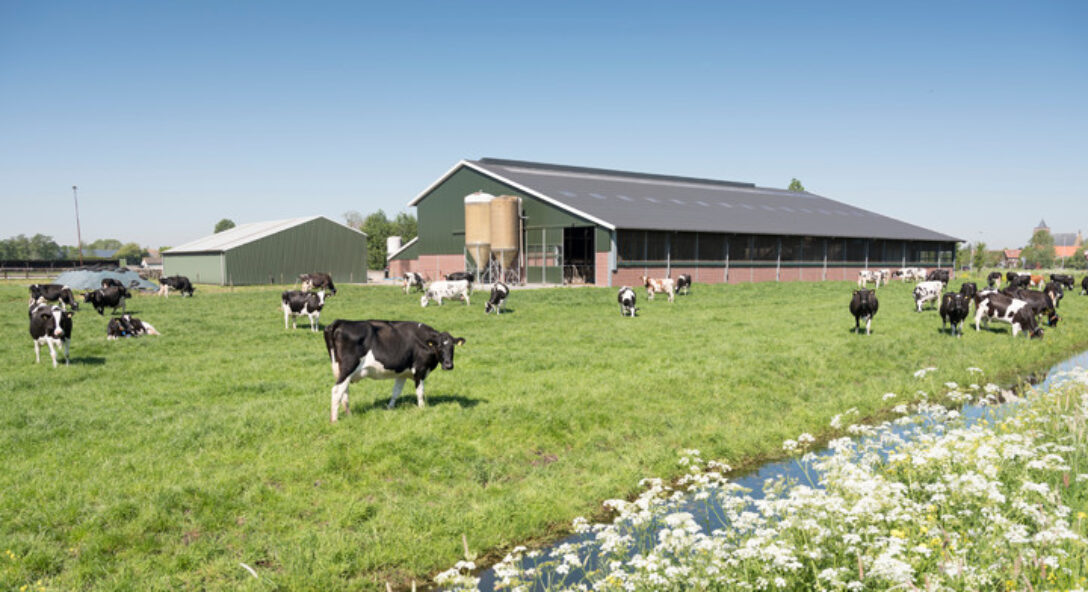 Agrarische familiebedrijven