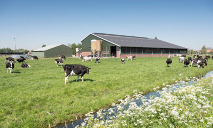 Agrarische familiebedrijven