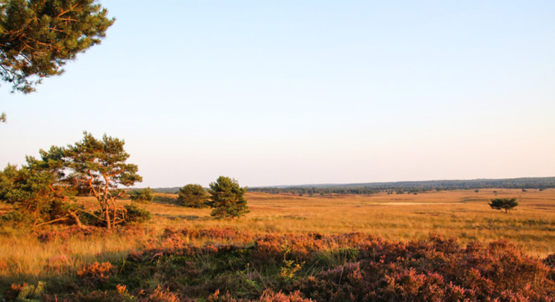 natuurvergunning