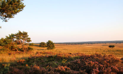 natuurvergunning