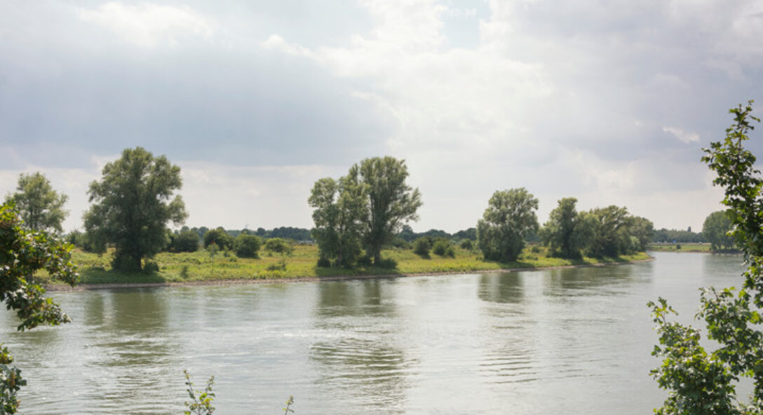 terugkomen op toezeggingen