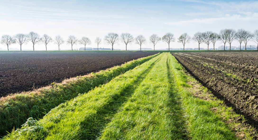 landbouwgrond