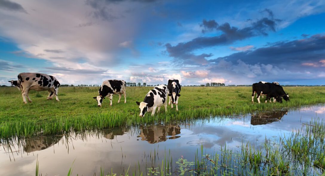 zorgplicht waterschappen