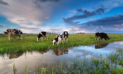 zorgplicht waterschappen