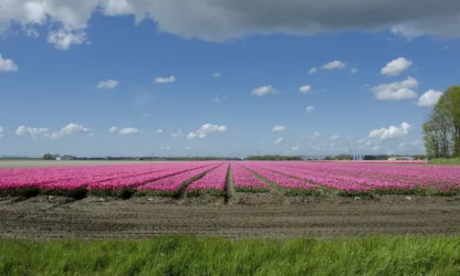 pachtwetgeving