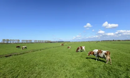 Mondelinge pacht
