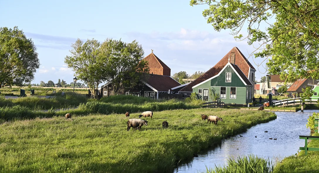 uitkoop piekbelasters