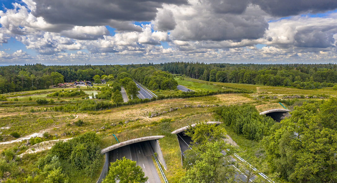 Omgevingsplan natuur