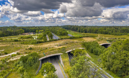 Omgevingsplan natuur