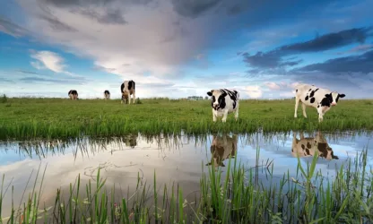Afbeelding voor Webinar ‘De Kaderrichtlijn Water onder de Omgevingswet’